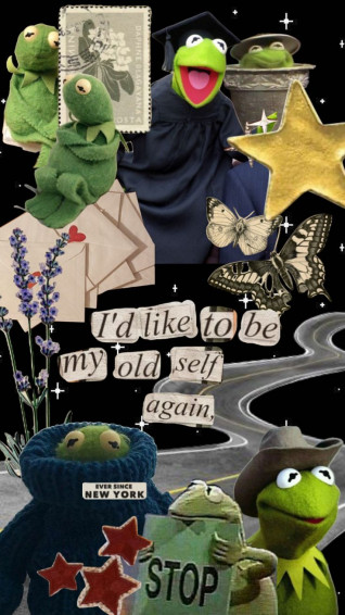 Check Out Carolineguffey S Shuffles Funny Phone Wallpaper
