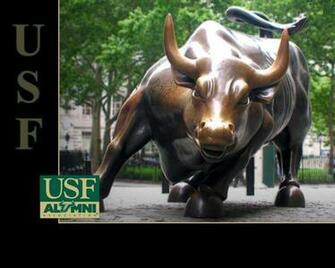 Usf Alumni Wallpaper