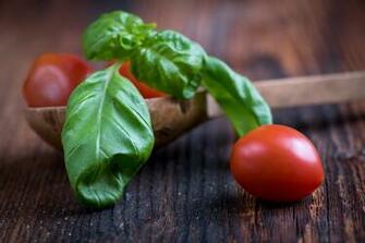 Basil HD Wallpaper Background Image Id