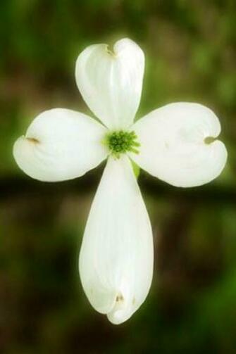 iPhone Wallpaper Easter Cross Tjn