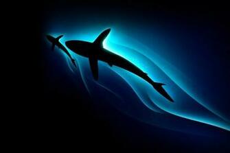 Wallpaper Surface Pro