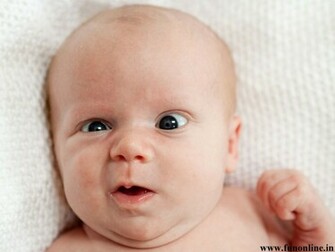 Baby Wallpaper Hilarious And Funny Babies HD