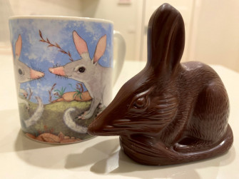 Easter Bilby Wikipedia