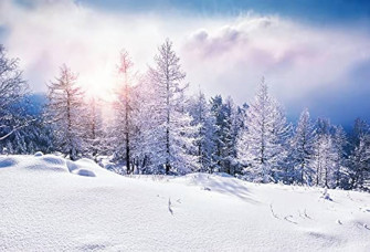 Amazon Yeele Vinyl Winter Forest Backdrop For
