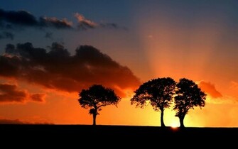 Park Sunset Wallpaper For Desktop Background Animals Zoo