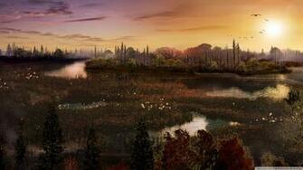 Wetland 4k HD Desktop Wallpaper For Ultra Tv Wide