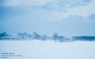 Blizzard Snow Wallpaper