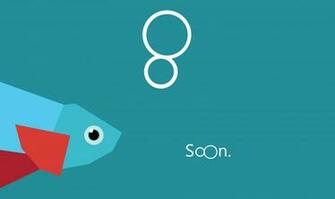 Displaying Image For Beta Fish Wallpaper Windows