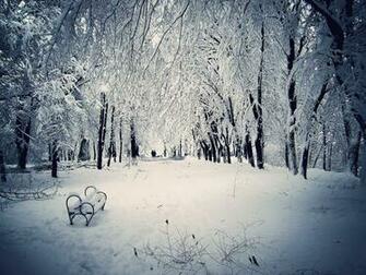 Winter Snow Scenes Wallpaper Grasscloth