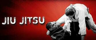Jiu Jitsu Arte By Hersc HD Walls Find Wallpaper