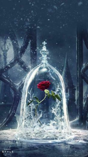 Add Some Magic To Your Devices With These Beauty And The Beast