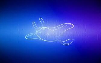 Wallpaper Swim Pokemon Mantine Widescreen