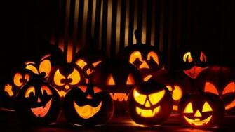 Pumkin Wallpaper On