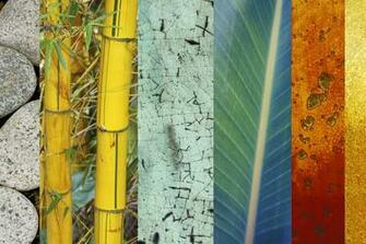 All Products Home Decor Wall Wallpaper