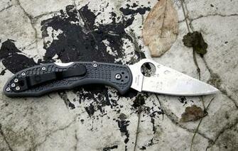 Wallpaper Stone Knife Delica Spyderco Image For Desktop