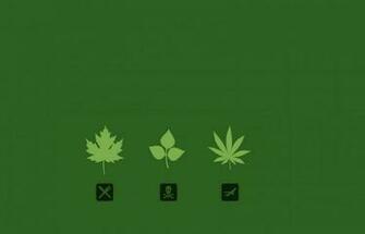 Triple Marijuana HD Weed Wallpaper