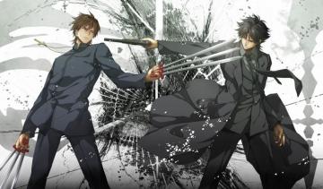 Kirei Kotomine HD Wallpaper And Background
