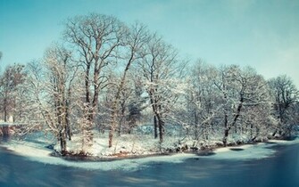 Winter River Trees Wallpaper