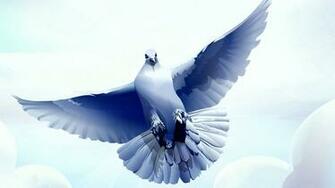 Dove Wallpaper