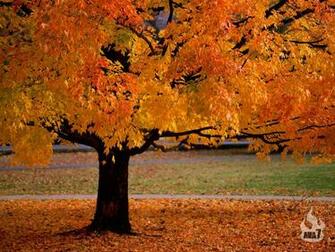 Amazing Wallpaper 3dwallpaper Funny Pictures