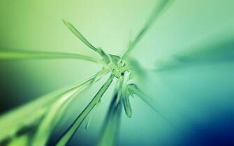 Organic Wallpaper Wallperio