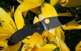 Wallpaper Black Spyderco Manix G Image For Desktop