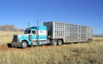 Peterbilt Truck Club Forum Trucking