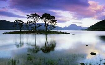Wallpaper Of Tree And Water The Grass On Lake Island