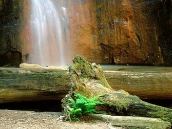 Relaxing Waterfall Wallpaper
