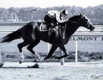 Secretariat Wallpaper Original Jpg