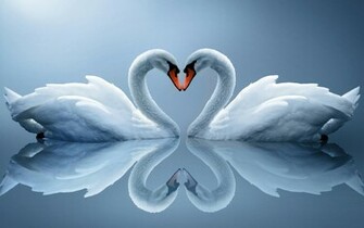 Love Heart Wallpaper HD