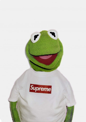 Aesthetic Kermit Wallpaper