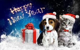 Happy Puppy And Kitten In The New Year Wallpaper Most Beautiful