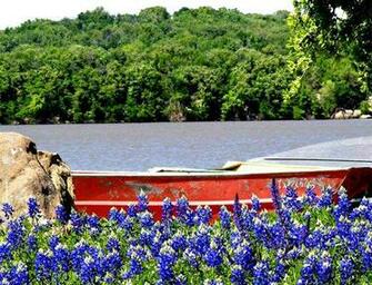 Spring In Texas Hill Country