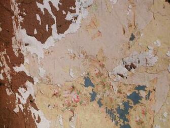 Best Peeling Wallpaper