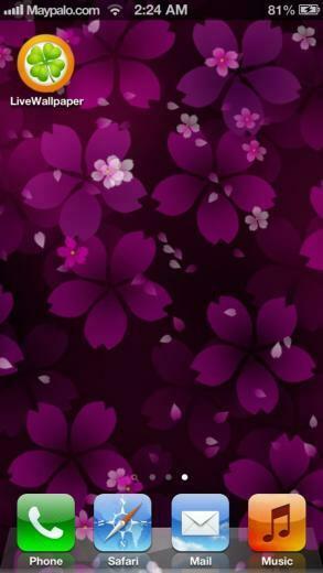 Live Wallpaper For iPhone HD Beautiful Desktop