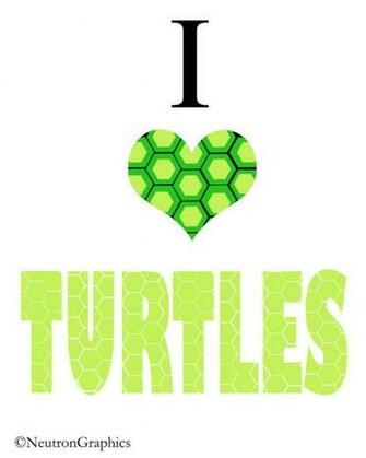 Displaying Image For I Like Turtles Wallpaper