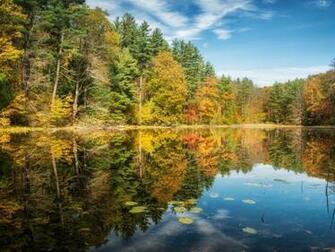 Beautiful Autumn Trees Lake Desktop Pc And Mac Wallpaper