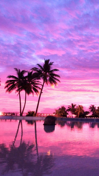 Purple Aesthetic Pink Inspiration Neon Colors