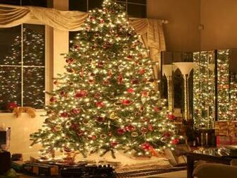 Have A Magical Christmas Berni Yorkshire Wallpaper