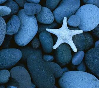 Cute Stones Android Wallpaper HD For Cell