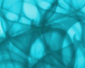 Go Back Pix For Aqua Green Background