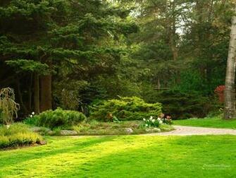 Backyard Gardens Wallpaper Top