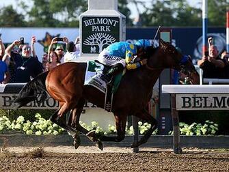 American Pharoah Belmont Triple Crown Winner