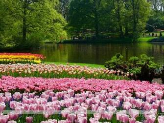 Keukenhof Garden Imagepk