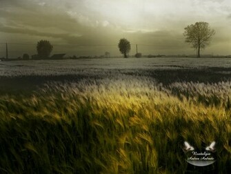 Nostalgia By Andreaandrade
