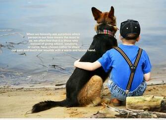 Animals Friendship Quote With Wallpaper