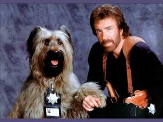 Chuck Norris Walker Texas Ranger Wallpaper Photo Shared By Courtney182