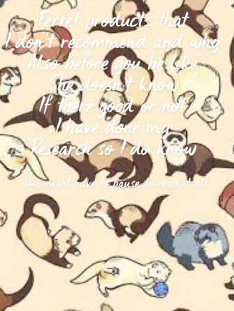 Ferret Products That I Don T Recommend And Why Animal Drawings