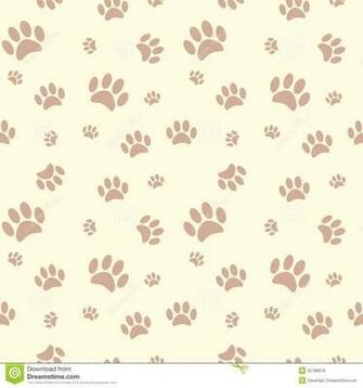 Dog Paws Wallpaper On